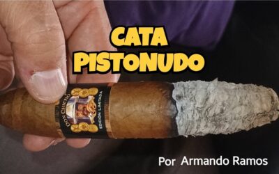 Cata de puro Don Chicho formato Pistonudo